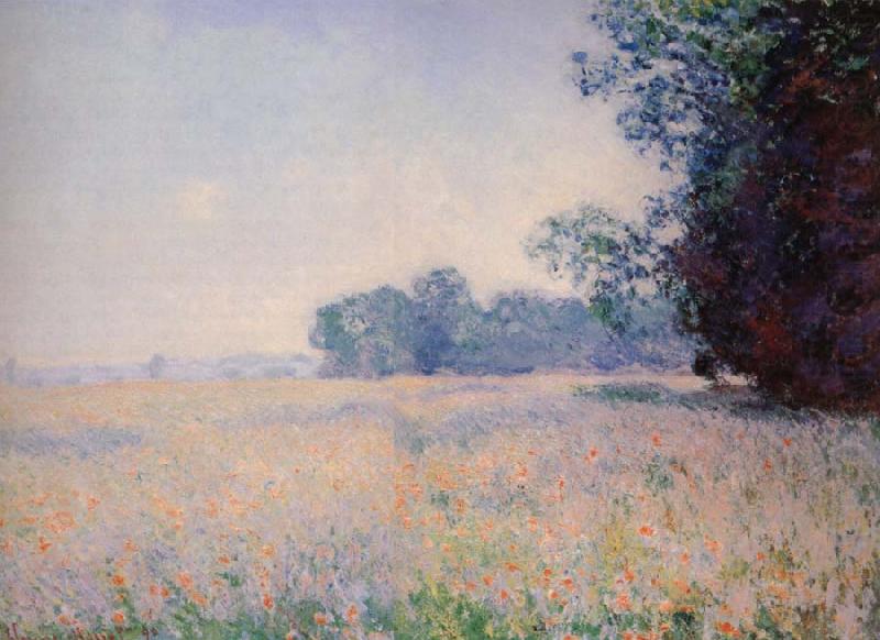 Claude Monet Oat Field china oil painting image